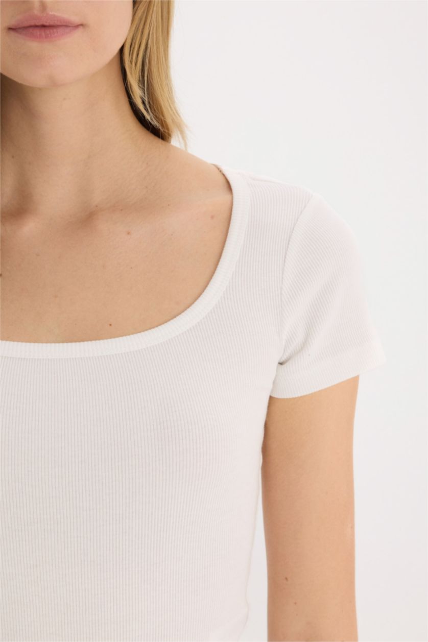 نساء بيج فاتح بودي نص كم سليم برقبة مستديرة وأزرار