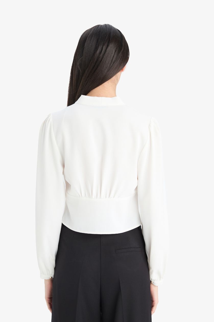 Woman Ecru Slim Fit V-Neck Long Sleeve Blouse