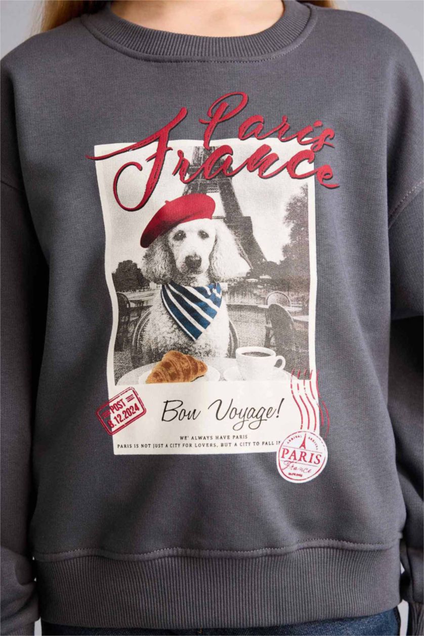 Девочки и подростки Антрацит Свитшот с принтом и круглым вырезом Relax Fit для девочек