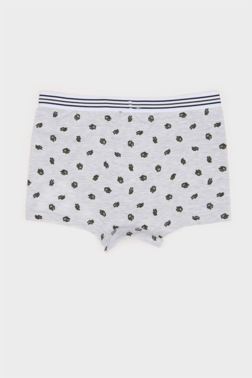 Boys & Teens White Boy Cactus Patterned 3 Piece Boxer