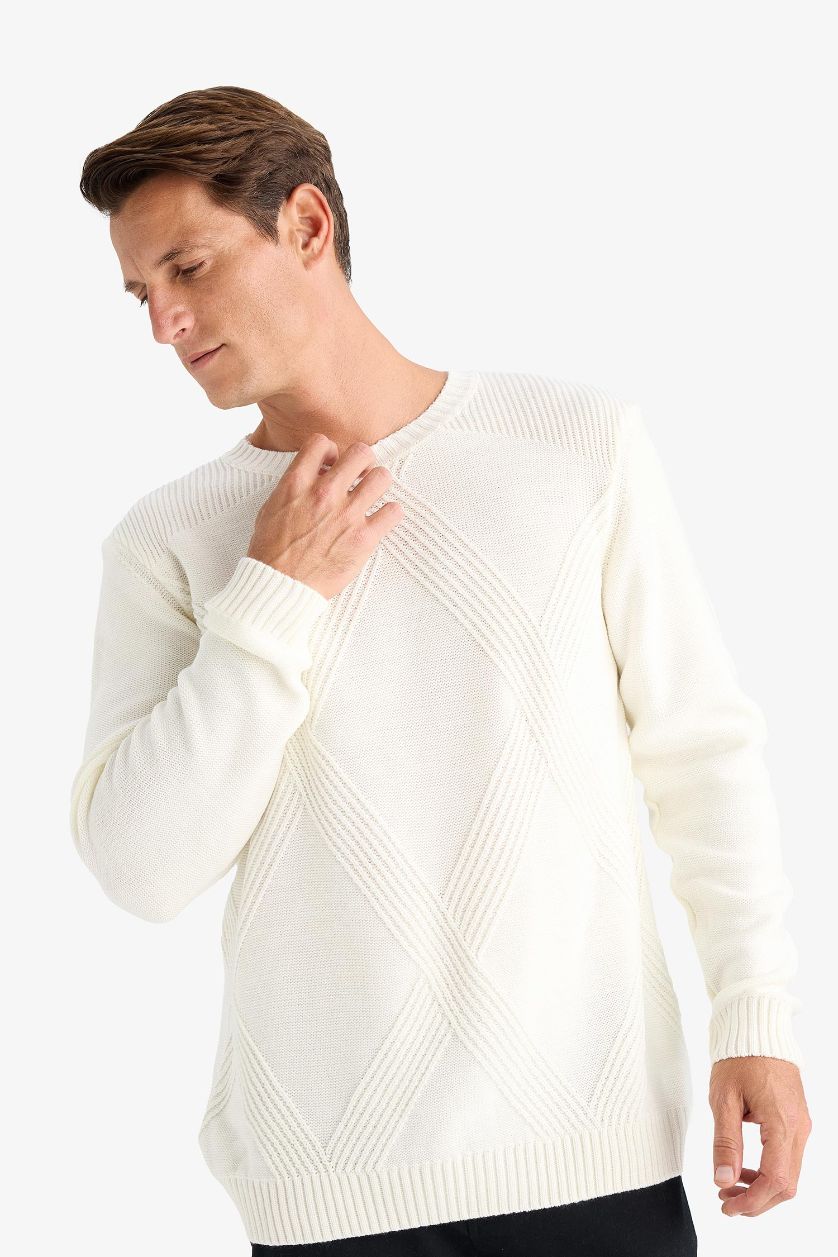 Man Ecru Standard Fit Crew Neck Knitwear Pullover