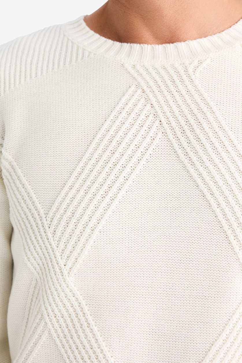 Man Ecru Standard Fit Crew Neck Knitwear Pullover