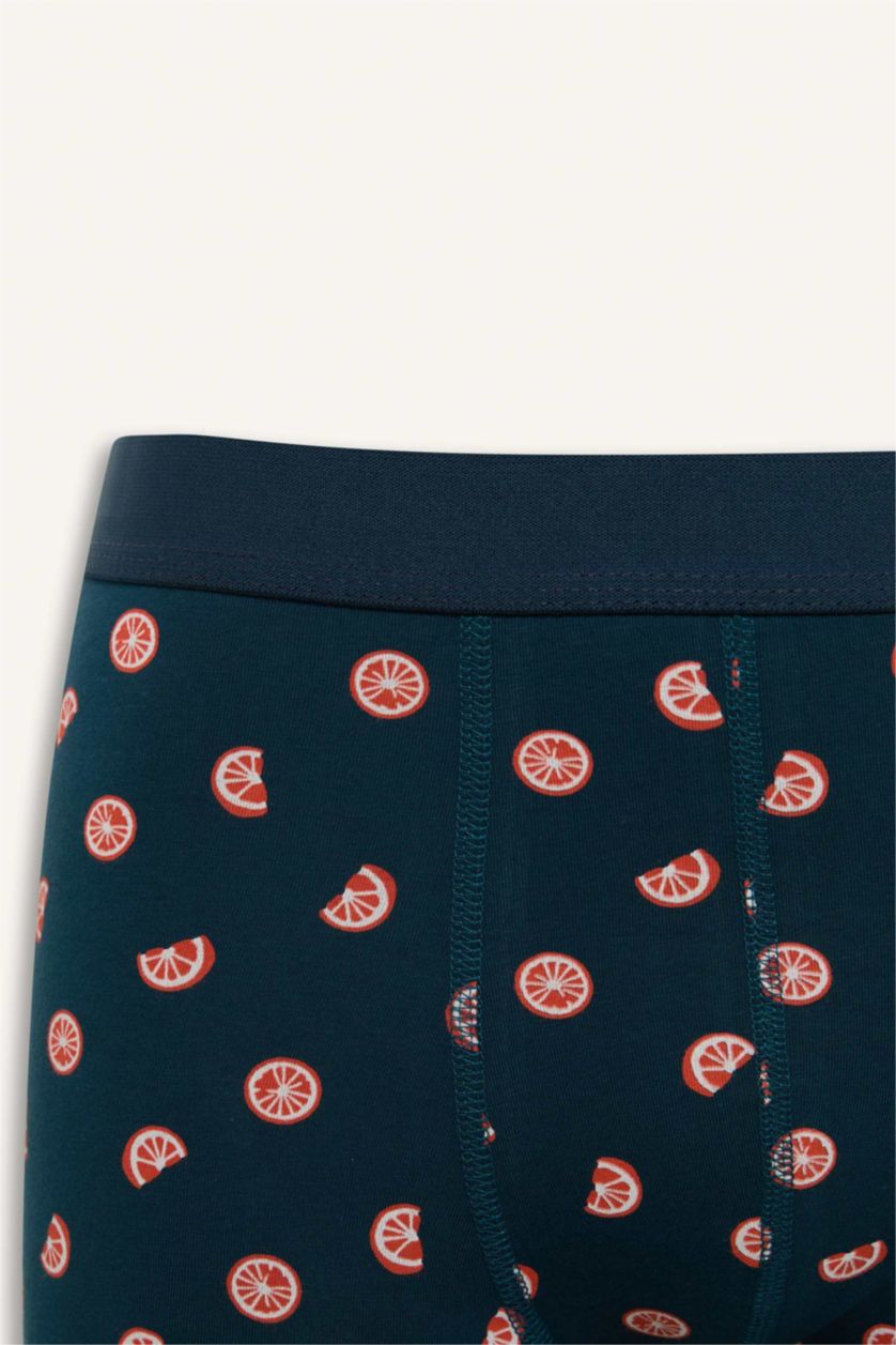 Erkek Koyu Yeşil Regular Fit Meyve Desenli 3'lü Boxer