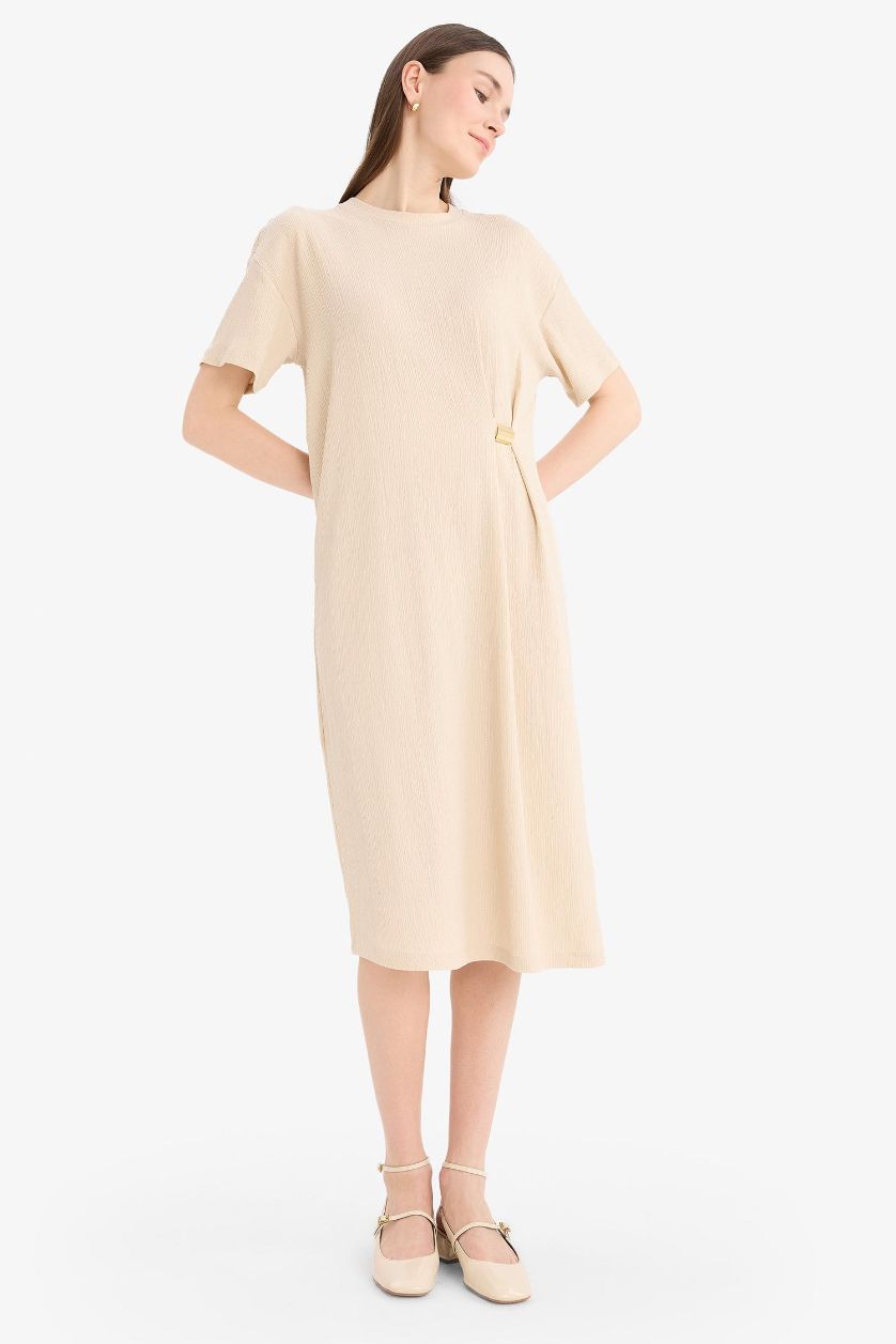 Woman Sand Regular Fit Crew Neck Dress
