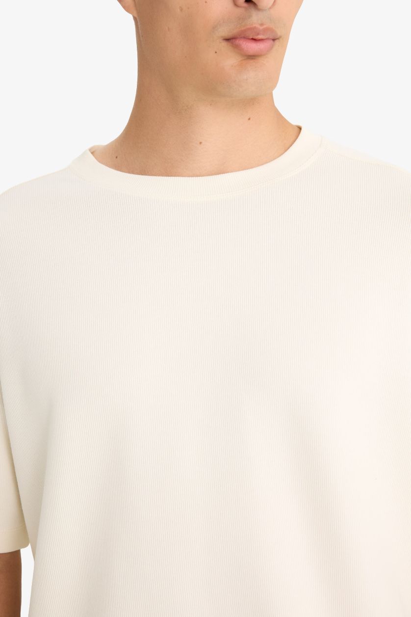 Erkek Ekru Regular Fıt Bisiklet Yaka Kısa Kollu Tişört