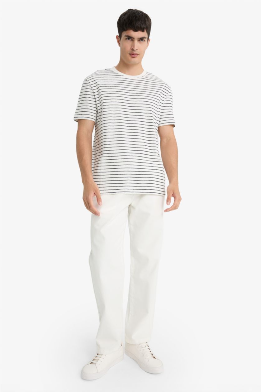 Erkek Ekru Regular Fit Bisiklet Yaka Çizgili Kısa Kollu Tişört 