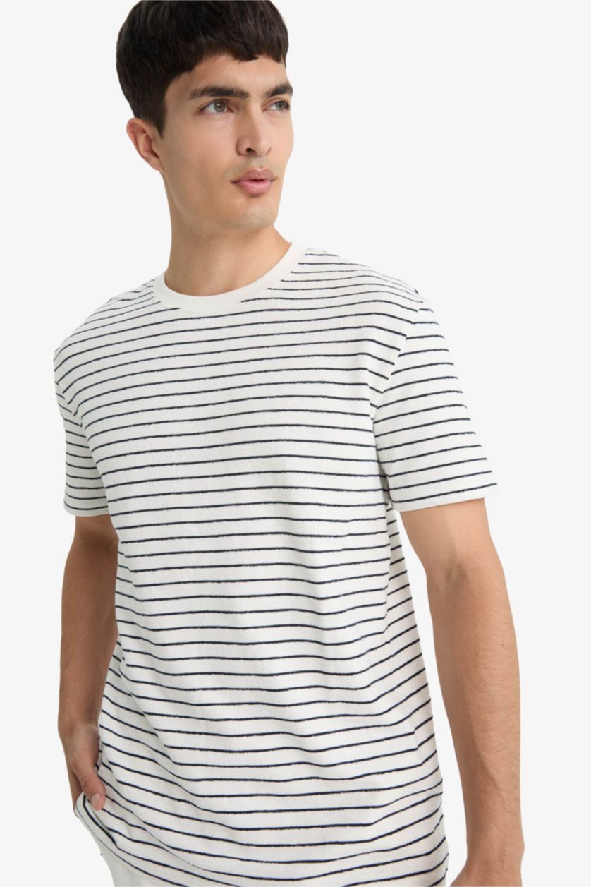 Erkek Ekru Regular Fit Bisiklet Yaka Çizgili Kısa Kollu Tişört 