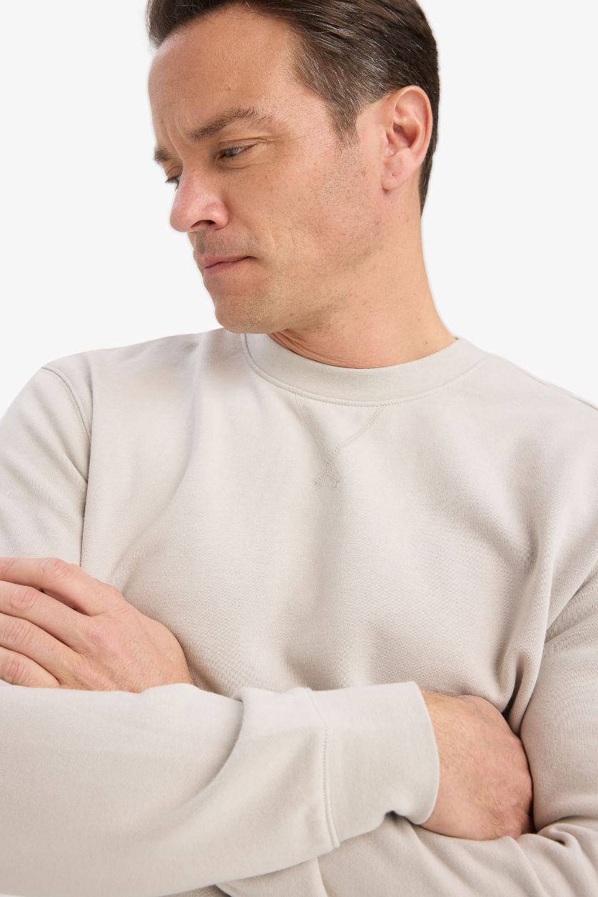 Erkek Taş %100 Pamuk Basic Sweatshirt