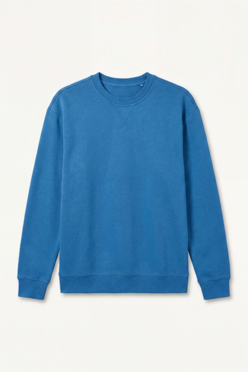 Men Blue Regular Fit Sweatshirt