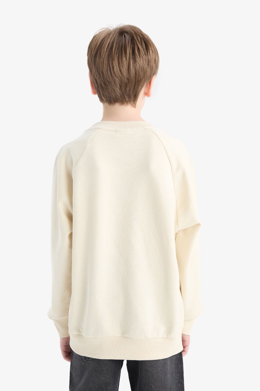 BOYS & TEENS Stone Boy Basic Crew Neck Sweatshirt