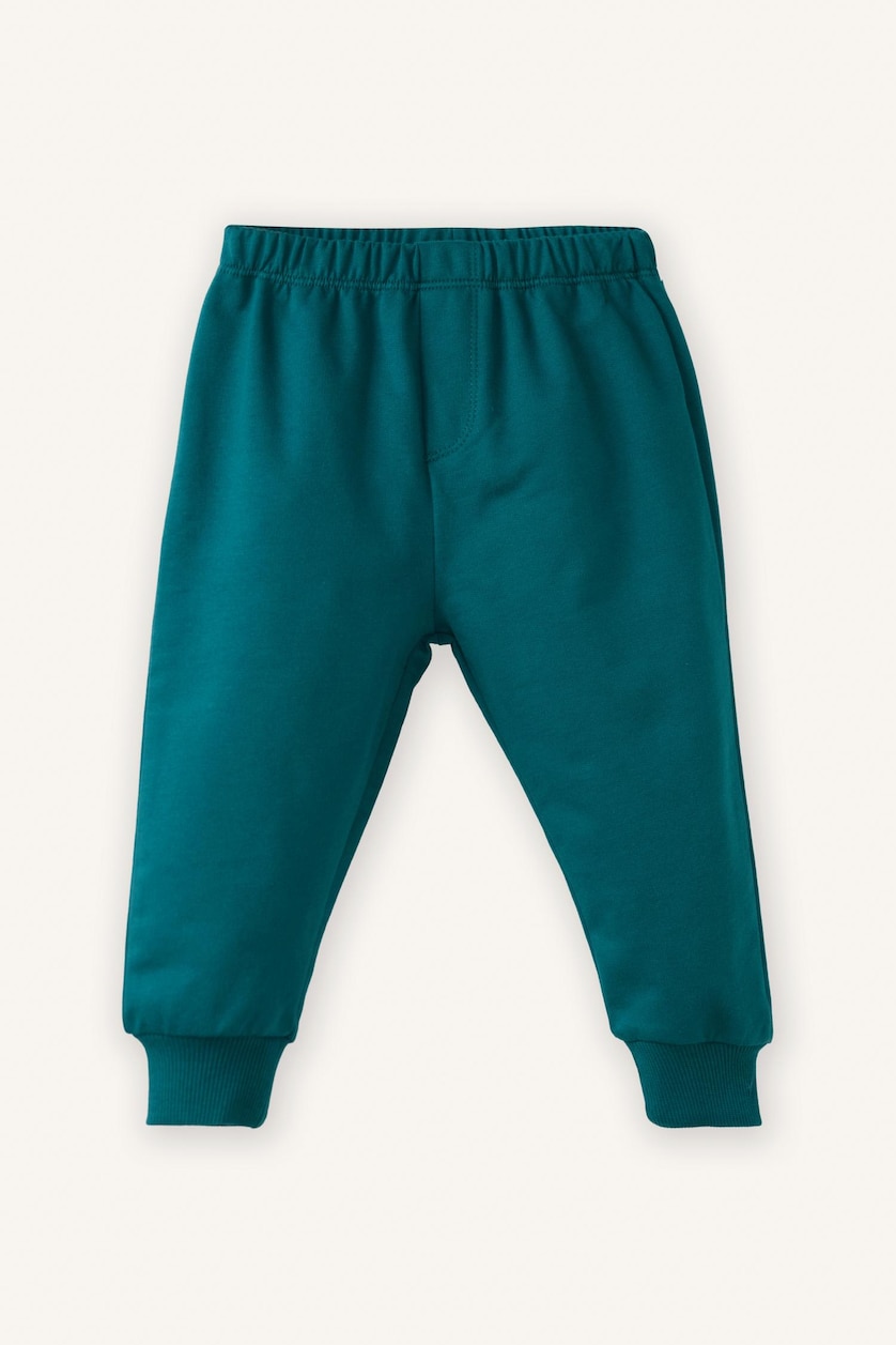 Baby Boys Green Baby Boy Sweatshirt and Pants 2 Piece Set