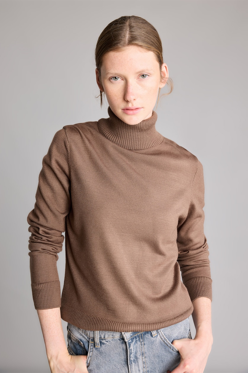 WOMAN Brown Regular Fit Turtleneck Pullover