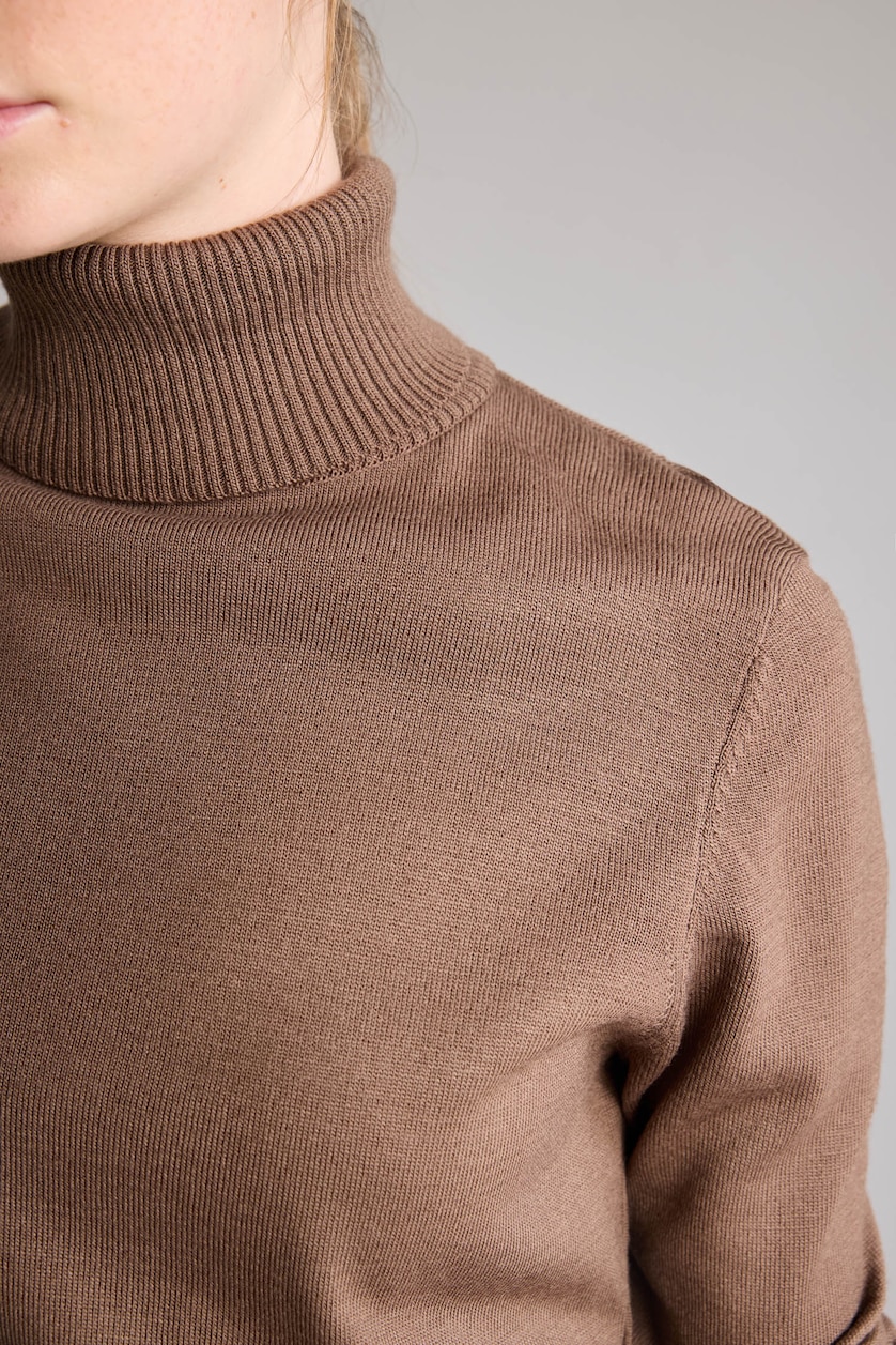 WOMAN Brown Regular Fit Turtleneck Pullover