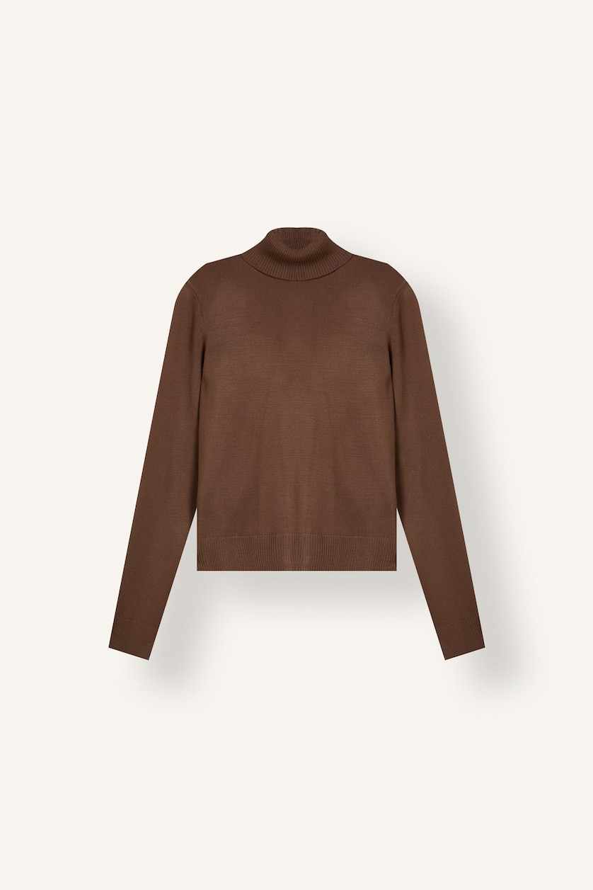 WOMAN Brown Regular Fit Turtleneck Pullover