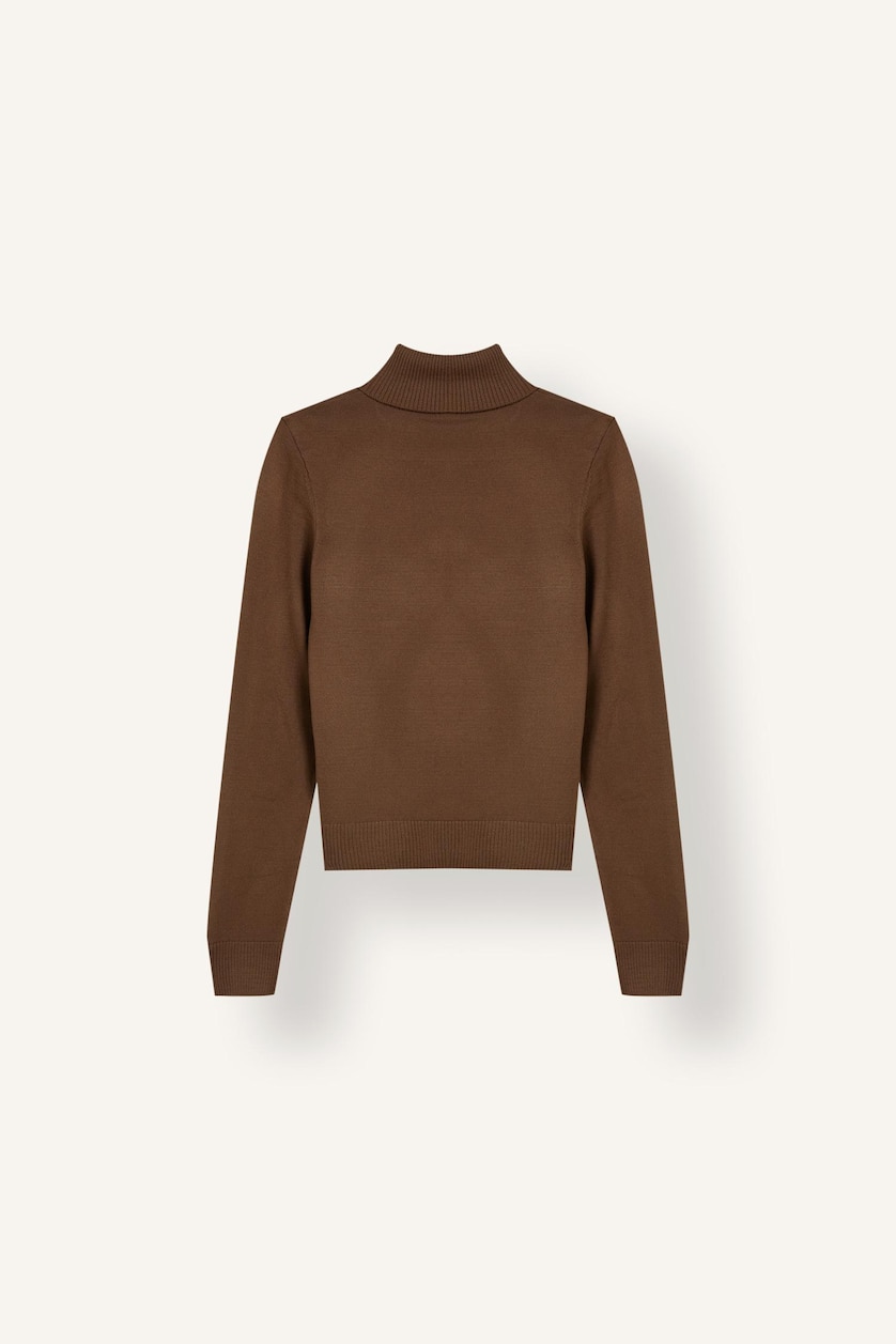 WOMAN Brown Regular Fit Turtleneck Pullover