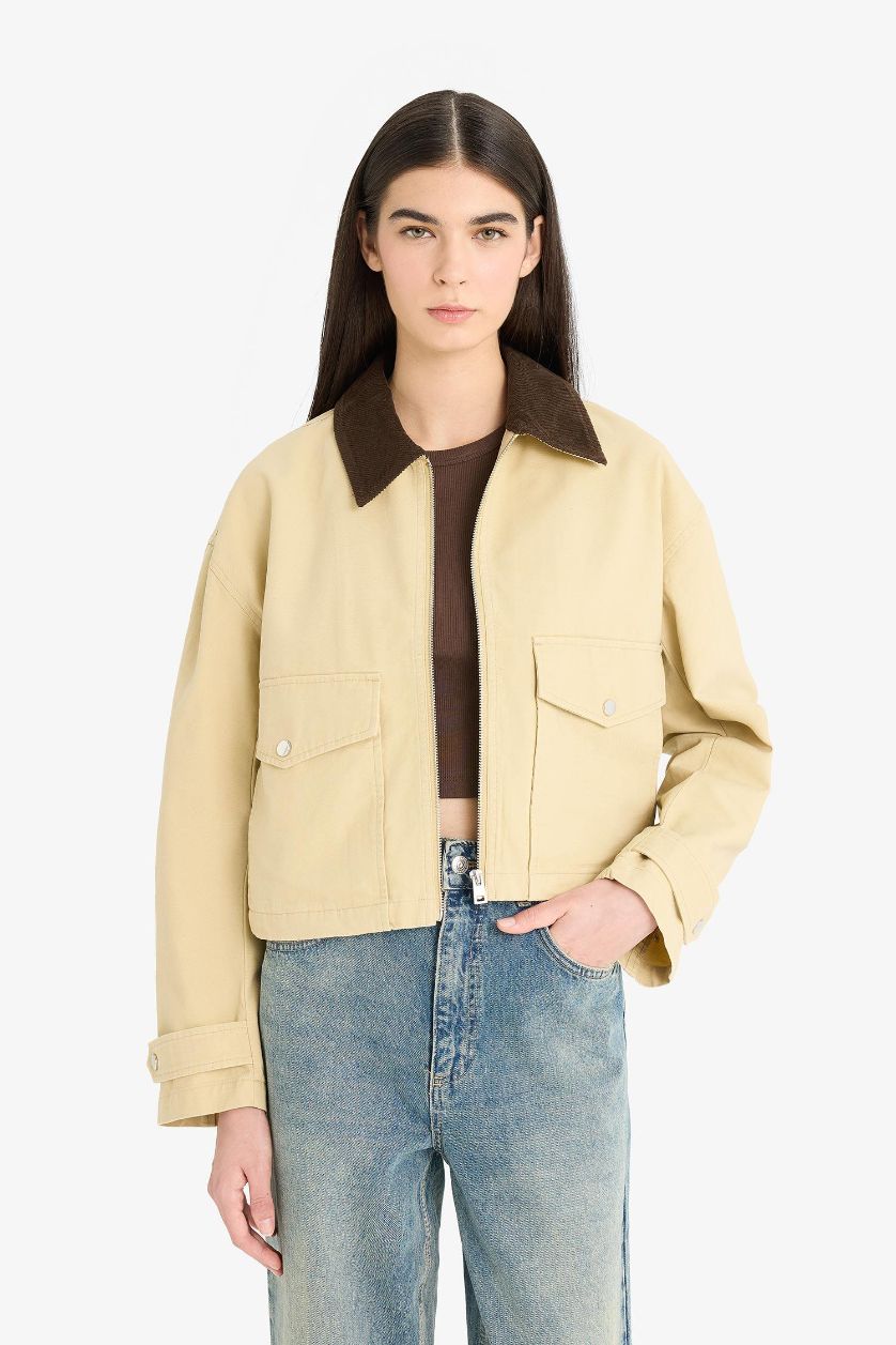 Woman Camel Regular Fit Contrast Collar Zippered Crop Jacket