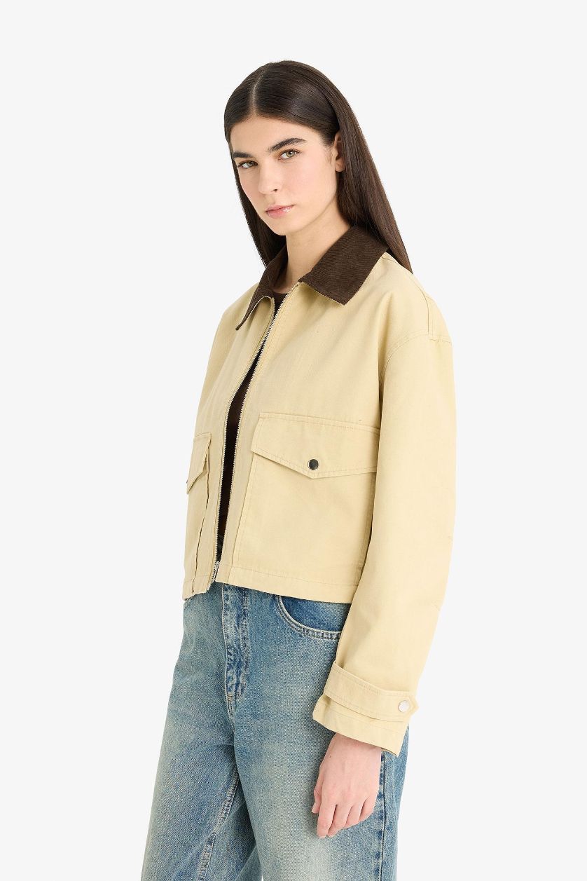 Woman Camel Regular Fit Contrast Collar Zippered Crop Jacket