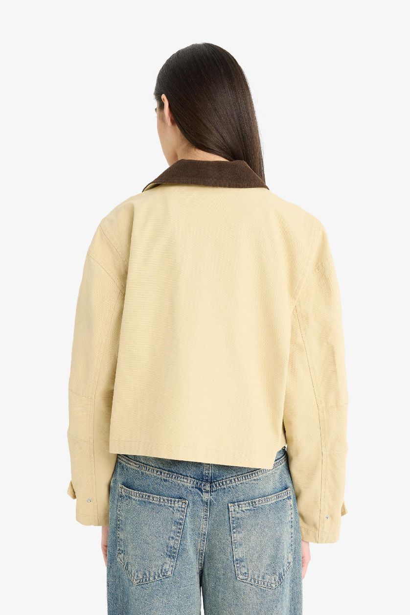 Woman Camel Regular Fit Contrast Collar Zippered Crop Jacket