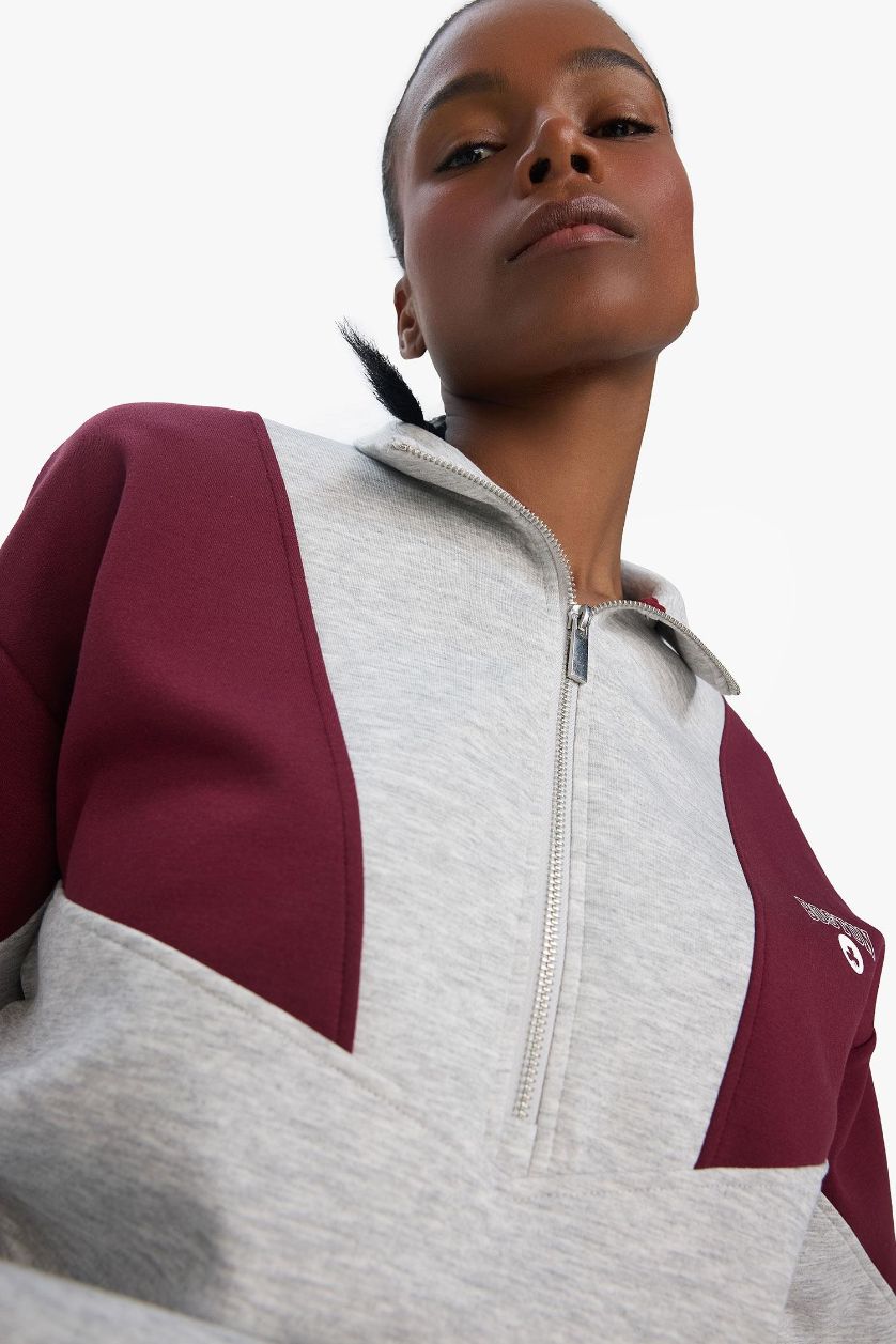 FEMME Gris Clair Sweatshirt de sport NBA Boston Celtics oversize demi-zip en tissu scuba de DeFactoFit