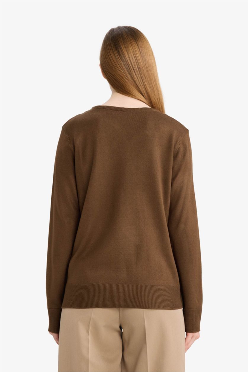 WOMAN Brown Regular Fit V-Neck Pullover