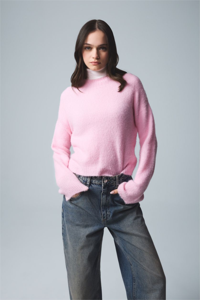 Kadın Açık Pembe Regular Fit Bisiklet Yaka Dikişsiz Basic Düz Triko Kazak