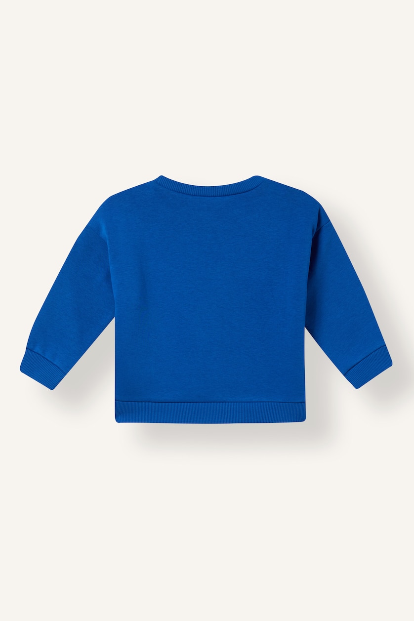 Erkek Bebek Royal Baskılı İçi Yumuşak Tüylü Sweatshirt Erkek Bebek