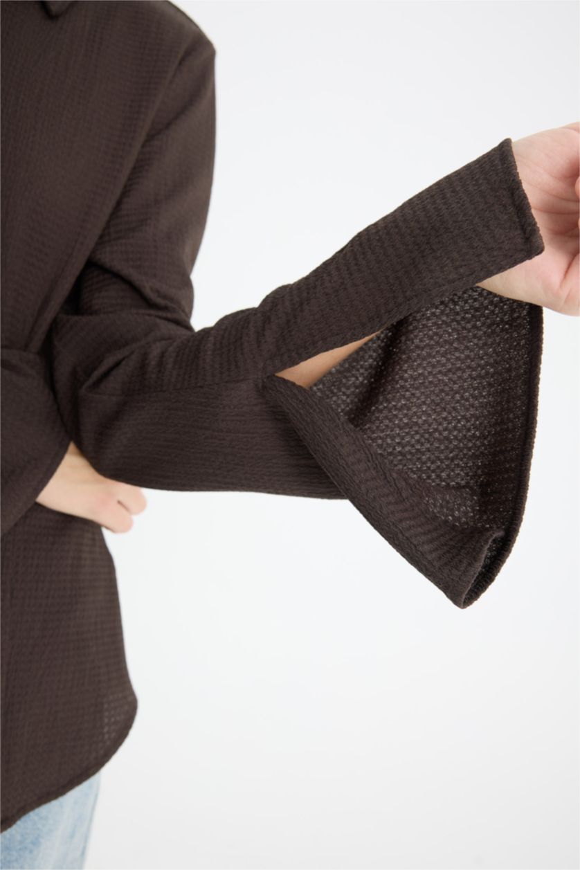 Женщины Коричневый Регулярный крой, рубашечный воротник, длинный рукав, блуза с рюшами