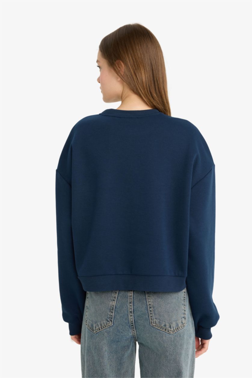 Женщины Синий Coool Tom & Jerry, регулярный крой, свитер с круглым вырезом, с принтом, из плотной ткани