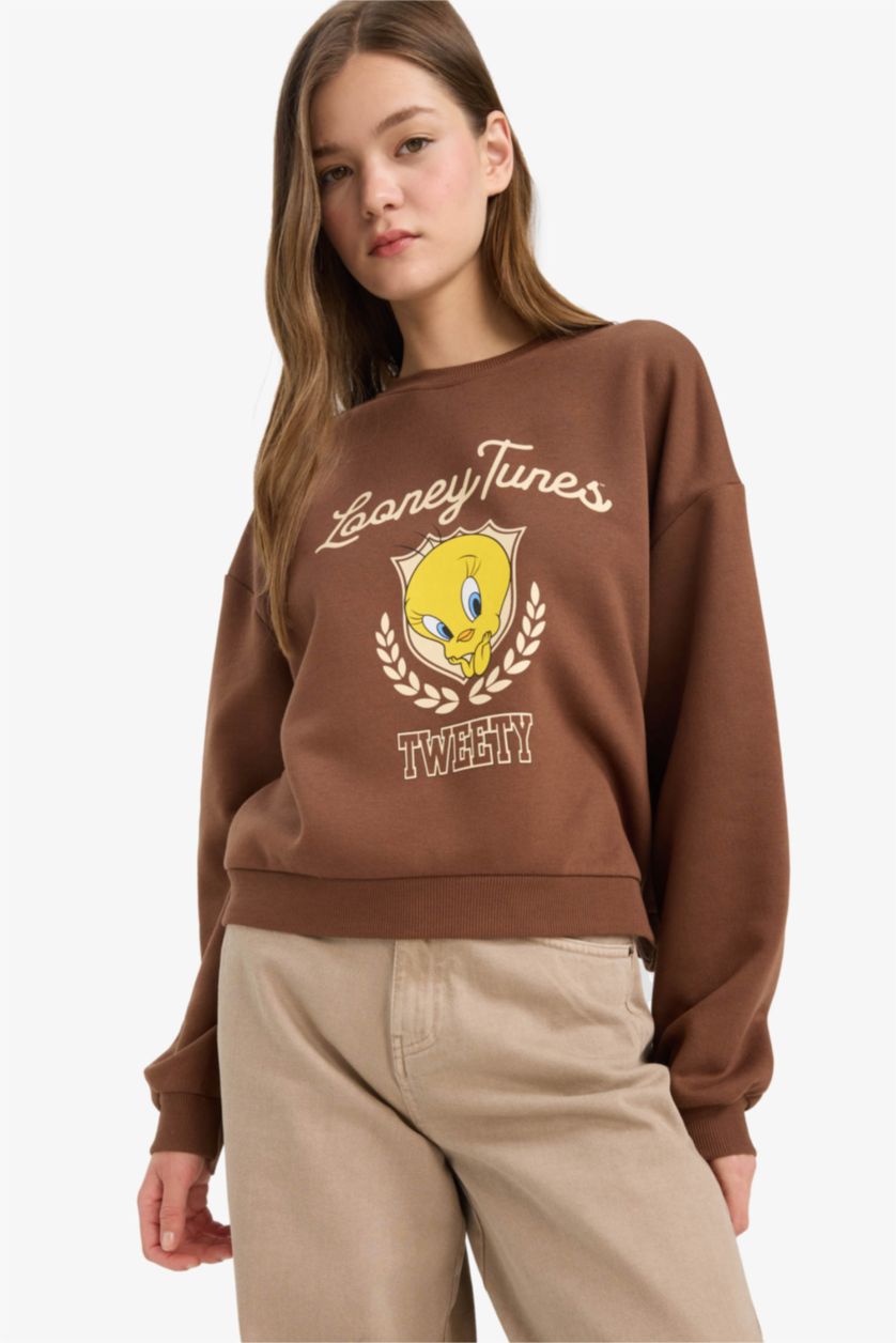 Woman Brown Regular Fit Looney Tunes Licensed Printed Sweatshirt