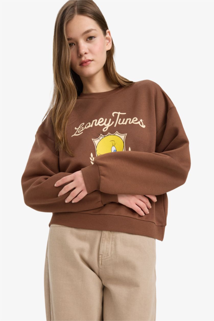 Woman Brown Regular Fit Looney Tunes Licensed Printed Sweatshirt