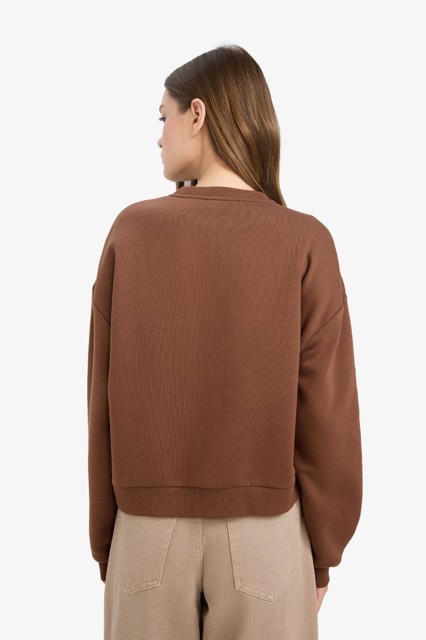 Woman Brown Regular Fit Looney Tunes Licensed Printed Sweatshirt