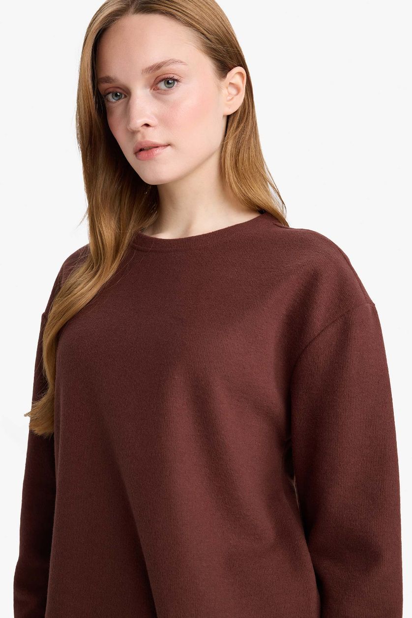 Әйелдерге Қоңыр Регулярный крой с круглым вырезом длинный рукав из селаниковой ткани футболка