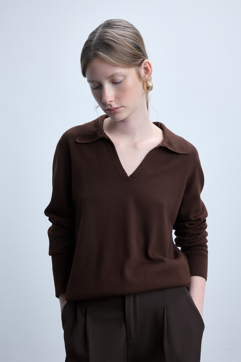 Women Brown Regular Fit Polo Collar Pullover