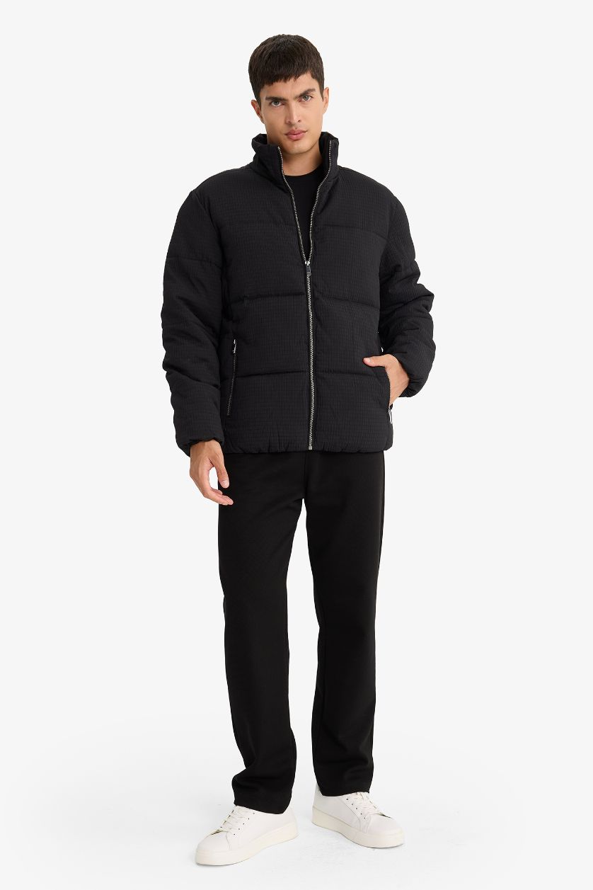 Erkek Siyah Regular Fit Dik Yaka Astarlı Fermuarlı Cepli Kışlık Mont