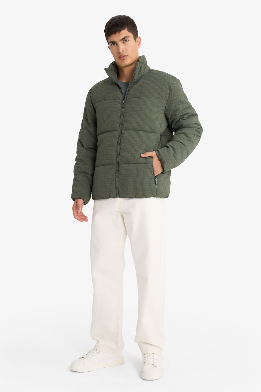 Erkek Açık Haki Regular Fit Dik Yaka Astarlı Fermuarlı Cepli Kışlık Mont