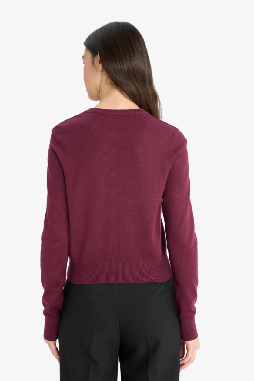 نساء خمري جاكيت تريكو قصة عادية بياخة مستديرة