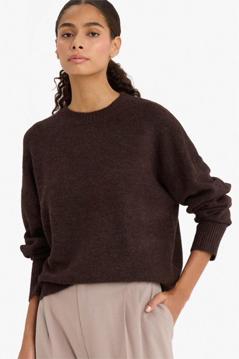 Woman Brown Oversize Fit Crew Neck Knitwear Pullover