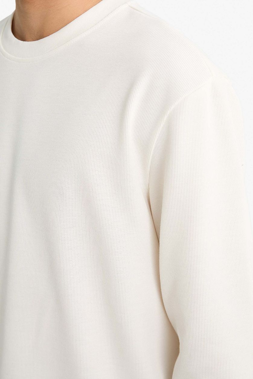 Erkek Ekru Regular Fıt Bisiklet Yaka Uzun Kollu Body