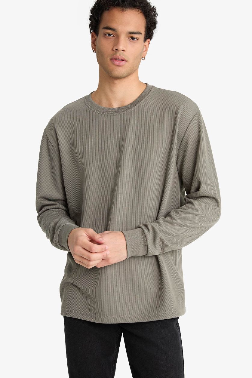 Man Khaki Regular Fit Crew Neck Long Sleeve Body