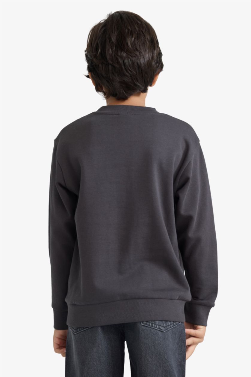 أولاد أنثرا غامق سويت شيرت ولادي بيزك سادة قصة عادية بياخة مستديرة