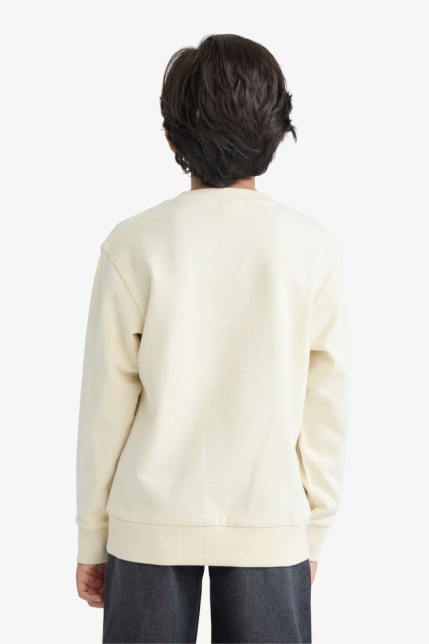 Мальчики и подростки Слоновая кость Толстовка для мальчика прямого кроя с круглым вырезом, однотонная