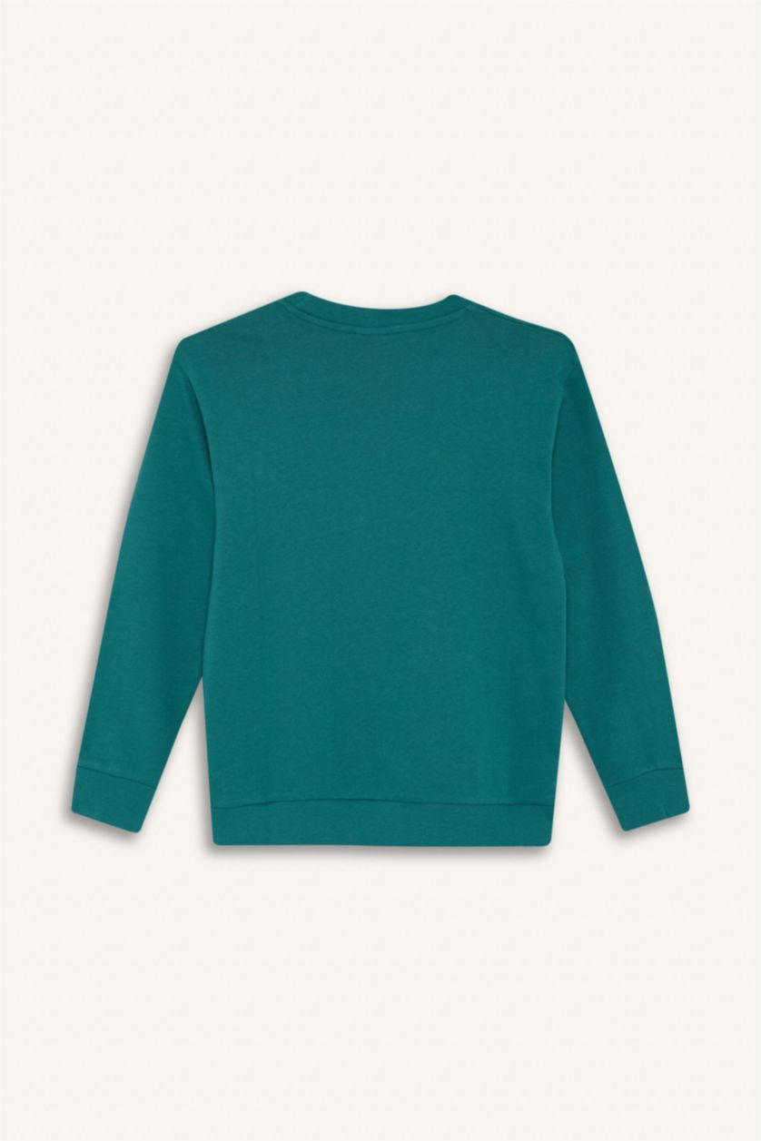 أولاد أخضر سويت شيرت ولادي بيزك سادة قصة عادية بياخة مستديرة