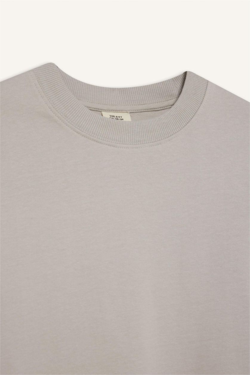 أولاد رمادي فاتح سويت شيرت ولادي بيزك سادة قصة عادية بياخة مستديرة