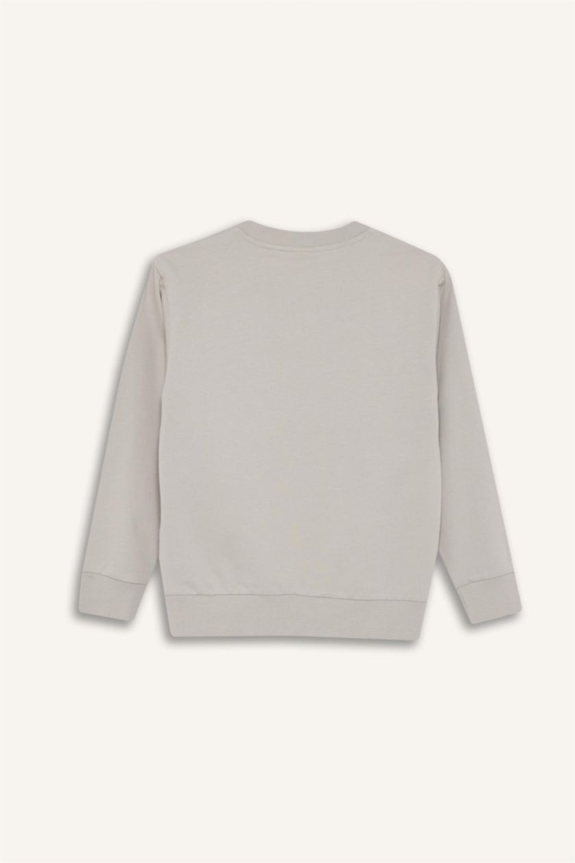 أولاد رمادي فاتح سويت شيرت ولادي بيزك سادة قصة عادية بياخة مستديرة