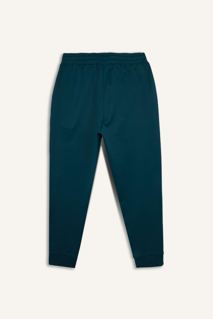 Man Dark Green Standard Fit Jogger Sweatpants