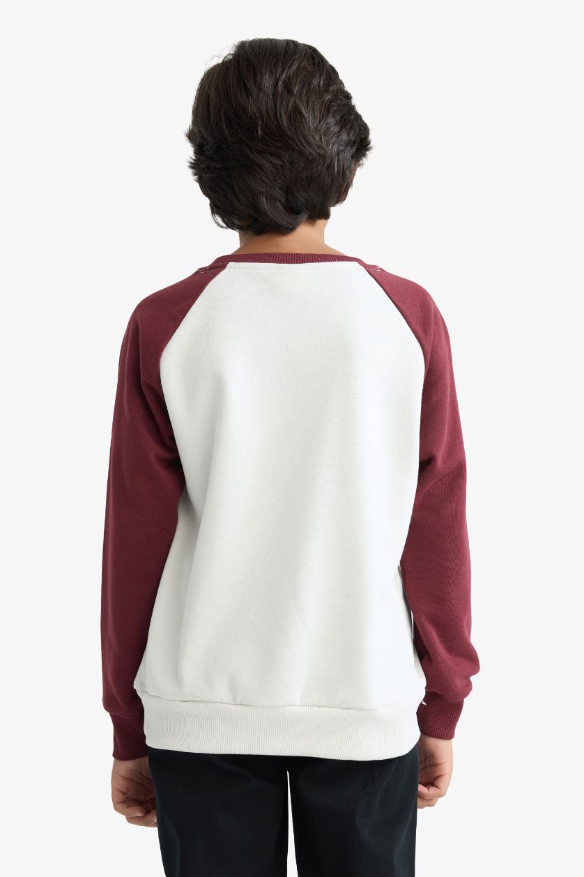 أولاد بيج فاتح سويت شيرت تطريز اوفر سايز بياقة مستديرة