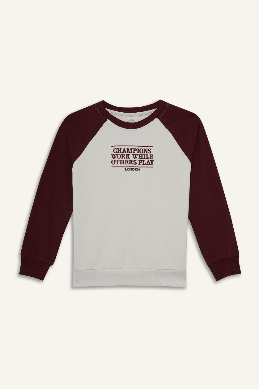 أولاد بيج فاتح سويت شيرت تطريز اوفر سايز بياقة مستديرة