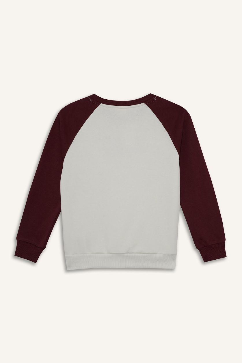 أولاد بيج فاتح سويت شيرت تطريز اوفر سايز بياقة مستديرة