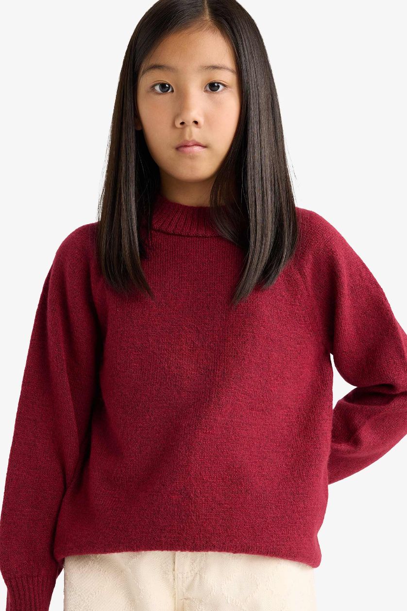 Girls & Teens Bordeaux Girl Regular Fit Crew Neck Pullover