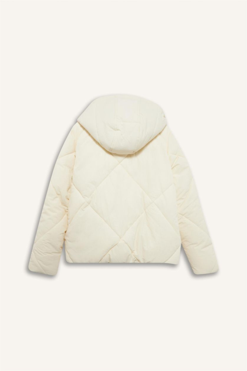 حريمي بيج فاتح جاكيت بامب وتر بروف قصة عادية مبطن بفرو إصطناعي